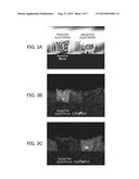 METHOD FOR FORMING PATTERN, STRUCTURAL BODY, METHOD FOR PRODUCING     COMB-SHAPED ELECTRODE,  AND SECONDARY CELL diagram and image