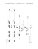 Genetically Modified Major Histocompatibility Complex Animals diagram and image