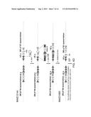 Genetically Modified Major Histocompatibility Complex Animals diagram and image