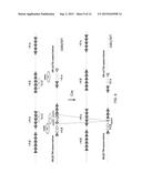 Genetically Modified Major Histocompatibility Complex Animals diagram and image