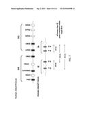 Genetically Modified Major Histocompatibility Complex Animals diagram and image