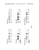 Genetically Modified Major Histocompatibility Complex Animals diagram and image