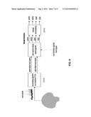 Brain-Machine Interface Utilizing Interventions to Emphasize Aspects of     Neural Variance and Decode Speed and Angle diagram and image