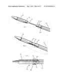 STENT-VALVE, DELIVERY APPARATUS, AND STENT-HOLDER THEREFOR diagram and image