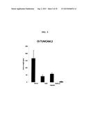 EXTRACELLULAR MATRIX COMPOSITIONS FOR THE TREATMENT OF CANCER diagram and image