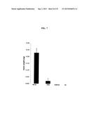 EXTRACELLULAR MATRIX COMPOSITIONS FOR THE TREATMENT OF CANCER diagram and image