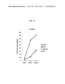 EXTRACELLULAR MATRIX COMPOSITIONS FOR THE TREATMENT OF CANCER diagram and image