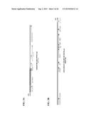 REPLICATING RECOMBINANT ADENOVIRUS VECTORS, COMPOSITIONS, AND METHODS OF     USE THEREOF diagram and image