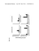 REPLICATING RECOMBINANT ADENOVIRUS VECTORS, COMPOSITIONS, AND METHODS OF     USE THEREOF diagram and image