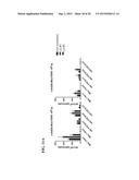 REPLICATING RECOMBINANT ADENOVIRUS VECTORS, COMPOSITIONS, AND METHODS OF     USE THEREOF diagram and image