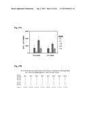 REPLICATING RECOMBINANT ADENOVIRUS VECTORS, COMPOSITIONS, AND METHODS OF     USE THEREOF diagram and image