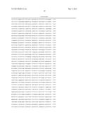 REPLICATING RECOMBINANT ADENOVIRUS VECTORS, COMPOSITIONS, AND METHODS OF     USE THEREOF diagram and image