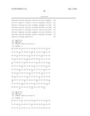 REPLICATING RECOMBINANT ADENOVIRUS VECTORS, COMPOSITIONS, AND METHODS OF     USE THEREOF diagram and image