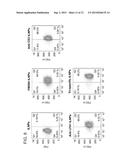 IMMUNOPARTICLES AND METHODS OF GENERATING AND USING SAME diagram and image