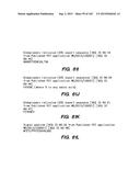 SYSTEM AND METHOD FOR OPTOGENETIC THERAPY diagram and image