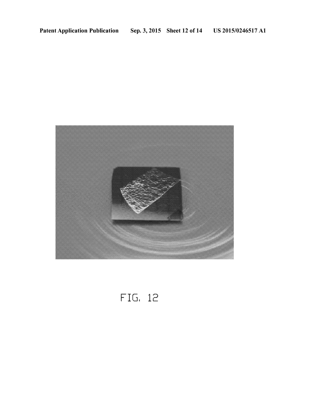 METHOD FOR TRANSFERRING NANOSTRUCTURES - diagram, schematic, and image 13