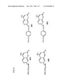 ISOTHIOCYANATE COMPOUNDS, PHARMACEUTICAL COMPOSITIONS, AND USES THEREOF diagram and image