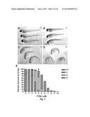 Class of HDAC Inhibitors Expands the Renal Progenitor Cells Population and     Improves the Rate of Recovery from Acute Kidney Injury diagram and image