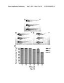 Class of HDAC Inhibitors Expands the Renal Progenitor Cells Population and     Improves the Rate of Recovery from Acute Kidney Injury diagram and image