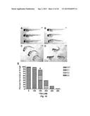 Class of HDAC Inhibitors Expands the Renal Progenitor Cells Population and     Improves the Rate of Recovery from Acute Kidney Injury diagram and image