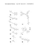 Class of HDAC Inhibitors Expands the Renal Progenitor Cells Population and     Improves the Rate of Recovery from Acute Kidney Injury diagram and image