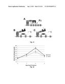 Class of HDAC Inhibitors Expands the Renal Progenitor Cells Population and     Improves the Rate of Recovery from Acute Kidney Injury diagram and image