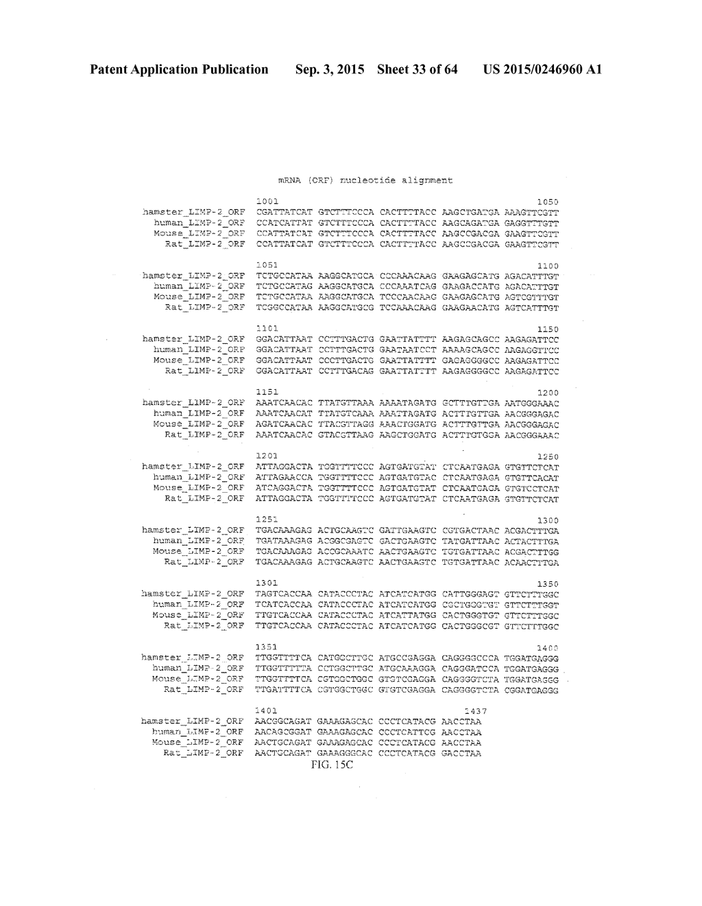 Methods Of Producing A Secreted Protein - diagram, schematic, and image 34