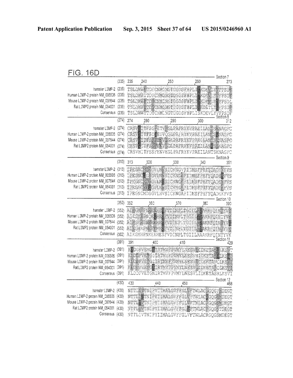 Methods Of Producing A Secreted Protein - diagram, schematic, and image 38