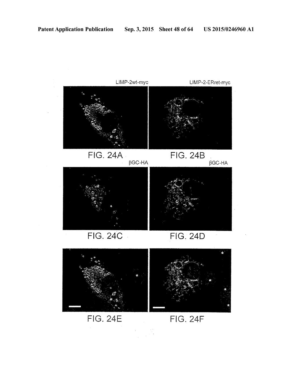 Methods Of Producing A Secreted Protein - diagram, schematic, and image 49