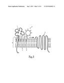 Antibodies with simultaneous subsite specificities to protein and lipid     epitopes diagram and image