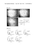 Pharmaceutical Composition Comprising Anti-HB-EGF Antibody as Active     Ingredient diagram and image