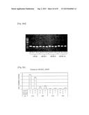 Pharmaceutical Composition Comprising Anti-HB-EGF Antibody as Active     Ingredient diagram and image