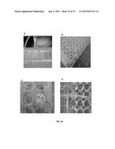 3D Tissue Culture Devices and Systems diagram and image