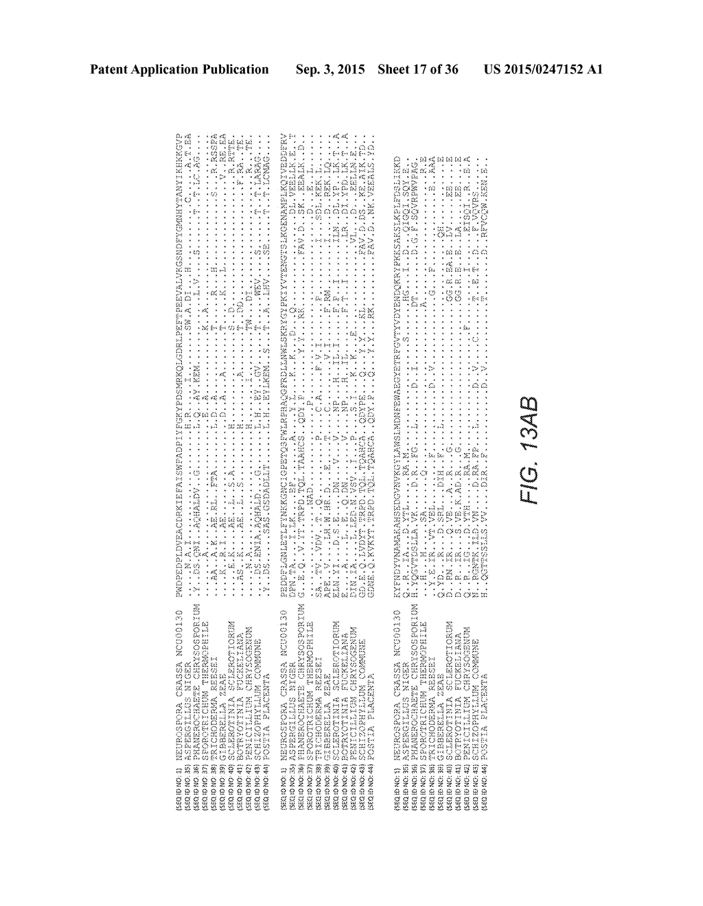 MUTANT CELLS FOR PROTEIN SECRETION AND LIGNOCELLULOSE DEGRADATION - diagram, schematic, and image 18