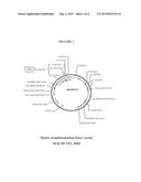 Recombinant DNA Constructs and Methods for Modulating Expression of a     Target Gene diagram and image