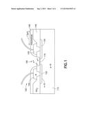 METHODS AND APPARATUS FOR RAPID DETECTION OF INFECTIOUS MICROORGRANISMS diagram and image