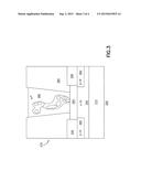 METHODS AND APPARATUS FOR RAPID DETECTION OF INFECTIOUS MICROORGRANISMS diagram and image