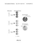 ASSAYS AND METHODS OF TREATMENT RELATING TO VITAMIN D INSUFFICIENCY diagram and image