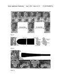 HYDROGEL NETWORK diagram and image