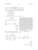 ORGANIC ELECTROLUMINESCENT MATERIALS AND DEVICES diagram and image