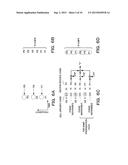 DATA GENERATION APPARATUS, DATA GENERATION METHOD, BASE STATION, MOBILE     STATION, SYNCHRONIZATION DETECTION METHOD, SECTOR IDENTIFICATION METHOD,     INFORMATION DETECTION METHOD AND MOBILE COMMUNICATION SYSTEM diagram and image