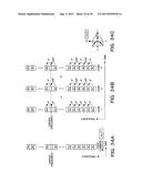 DATA GENERATION APPARATUS, DATA GENERATION METHOD, BASE STATION, MOBILE     STATION, SYNCHRONIZATION DETECTION METHOD, SECTOR IDENTIFICATION METHOD,     INFORMATION DETECTION METHOD AND MOBILE COMMUNICATION SYSTEM diagram and image