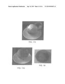 ENCLOSING MATERIALS IN NATURAL TRANSPORT SYSTEMS diagram and image