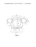 HAIR VOLUMIZING DEVICE diagram and image