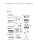 Multilayer Compositions, Coated Devices And Use Thereof diagram and image