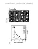 Multilayer Compositions, Coated Devices And Use Thereof diagram and image