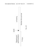 USE OF SHORT TERM STARVATION REGIMEN IN COMBINATION WITH KINASE INHIBITORS     TO ENHANCE TRADITIONAL CHEMO-DRUG EFFICACY AND FEASIBILITY AND REVERSE     SIDE EFFECTS OF KINASES IN NORMAL CELLS AND TISSUES diagram and image