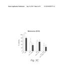 USE OF SHORT TERM STARVATION REGIMEN IN COMBINATION WITH KINASE INHIBITORS     TO ENHANCE TRADITIONAL CHEMO-DRUG EFFICACY AND FEASIBILITY AND REVERSE     SIDE EFFECTS OF KINASES IN NORMAL CELLS AND TISSUES diagram and image