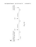 USE OF SHORT TERM STARVATION REGIMEN IN COMBINATION WITH KINASE INHIBITORS     TO ENHANCE TRADITIONAL CHEMO-DRUG EFFICACY AND FEASIBILITY AND REVERSE     SIDE EFFECTS OF KINASES IN NORMAL CELLS AND TISSUES diagram and image