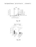 USE OF SHORT TERM STARVATION REGIMEN IN COMBINATION WITH KINASE INHIBITORS     TO ENHANCE TRADITIONAL CHEMO-DRUG EFFICACY AND FEASIBILITY AND REVERSE     SIDE EFFECTS OF KINASES IN NORMAL CELLS AND TISSUES diagram and image